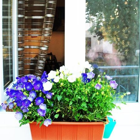 Apartment 5 Min By Walk To The Center Brno Bagian luar foto